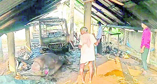 అగ్ని ప్రమాదంలో మూగజీవాలు మృతి 