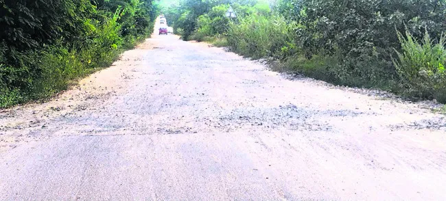 ఇక హ్యామ్‌ రోడ్లు!