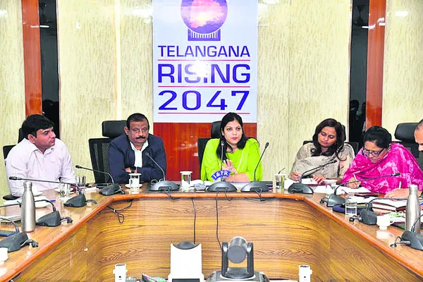 గవర్నర్‌ పర్యటనకు పకడ్బందీ ఏర్పాట్లు