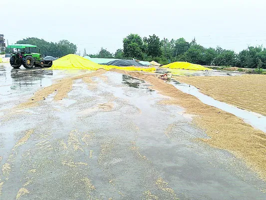 వాన.. హైరానా