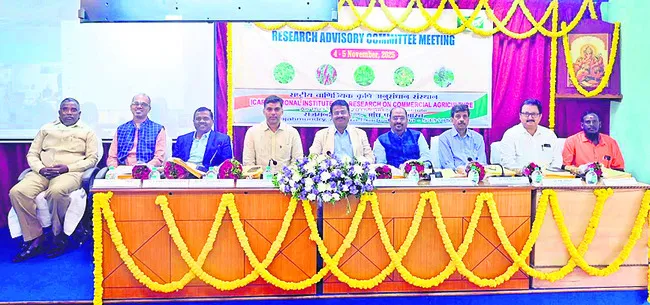 సెకండరీ అగ్రికల్చర్‌పై పరిశోధనలు