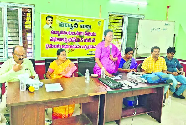 జీవ సంబంధ ఎరువులతో ‘చీనీ’లో అధిక దిగుబడి 