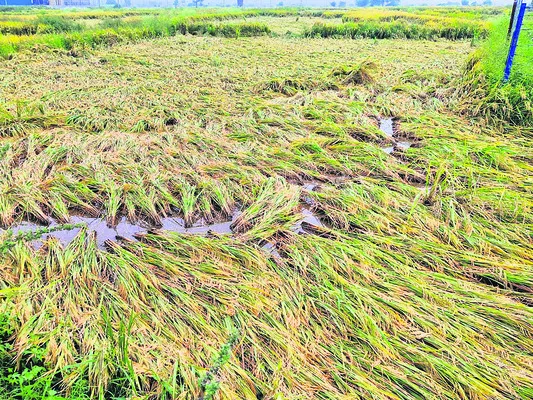 ఈసారైనా.. అందేనా!