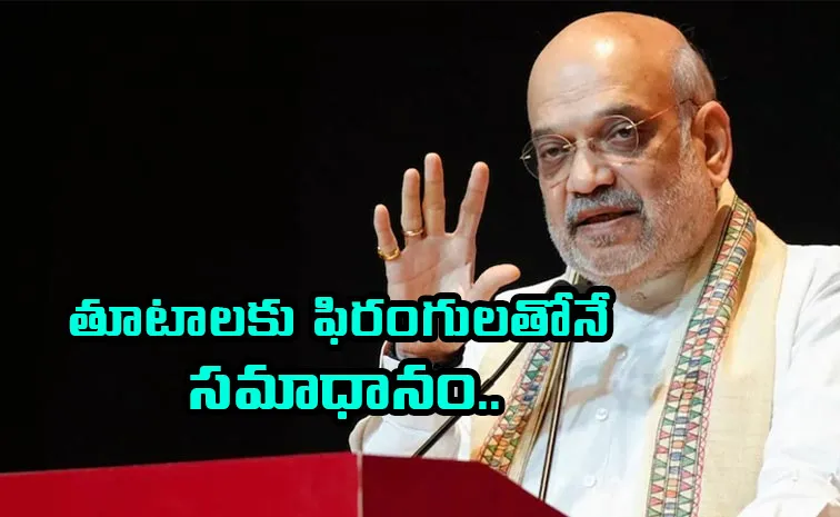 Amit Shah Sensational Comments On Pakistan