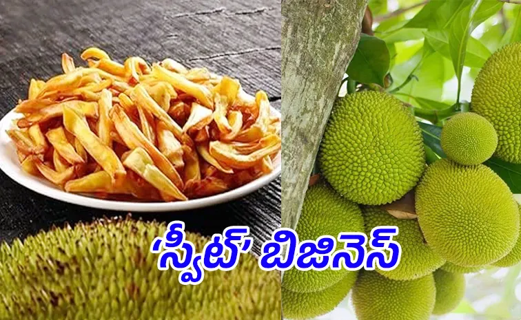 meet 2 brothers in rural Kolhapur built a Rs12 lakh jackfruit chips business