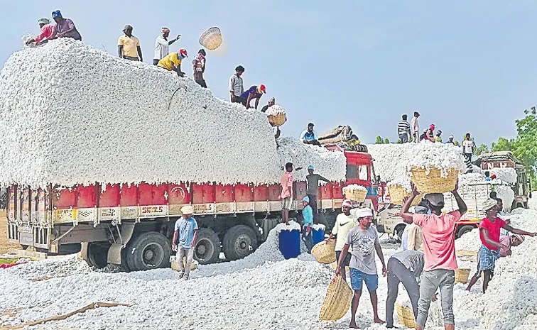 పత్తి కొను‘గోలగోల’