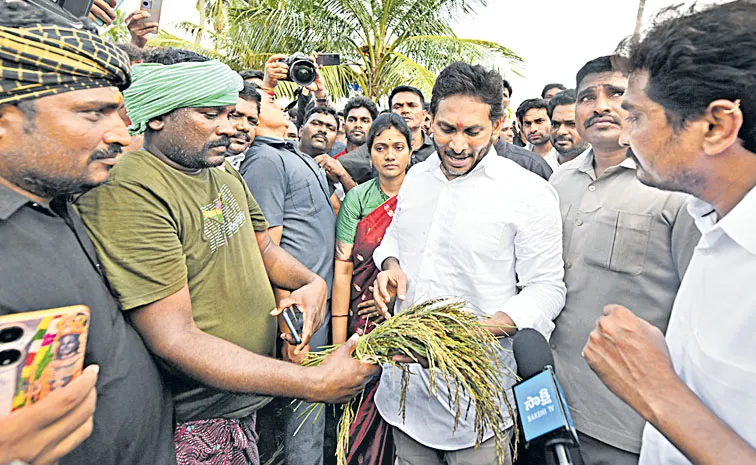 ఎవరూ వచ్చి  చూసింది లేదు..