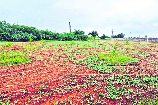 మిగులు భూమిని మింగేద్దామని 