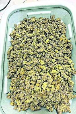 టెన్త్‌, పీయూసీ టైమ్‌ టేబుల్‌ విడుదల 