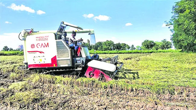 తడారని పొలం.. కోతల భారం