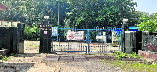 స్మార్ట్‌ ఫోన్‌ నుంచే లైఫ్‌ సర్టిఫికెట్‌..