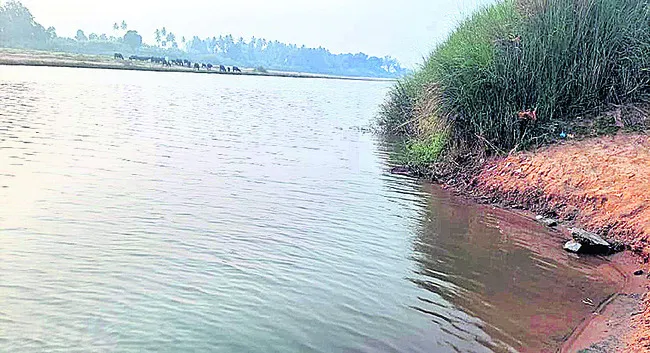 ఇరుకు దారులతో అవస్థలు 