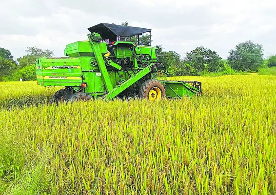 వాన.. రైతన్న హైరానా 