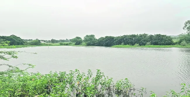 చెరువుకు చేరినా.. 