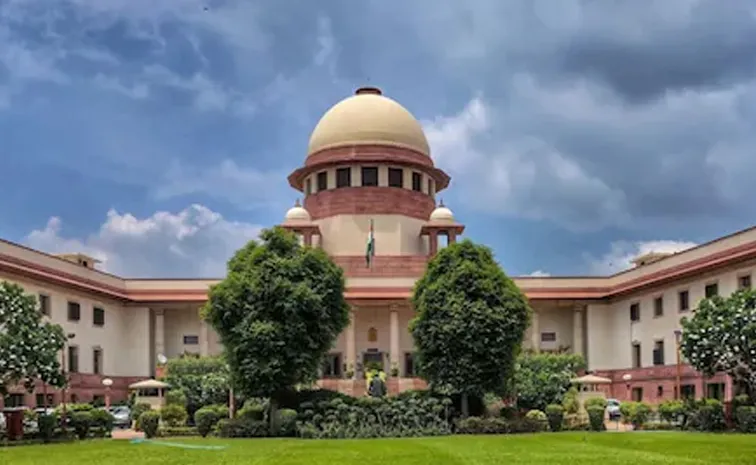 రెండో ‘సరోగసీ’ బిడ్డపై సమీక్షించనున్న సుప్రీం