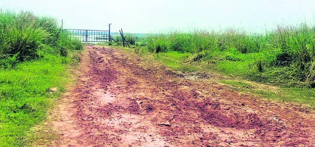 వదిలేశారా ?!