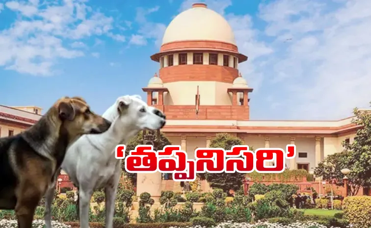 Stray Dog ​​Case: Supreme Courts Key Orders
