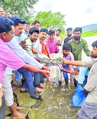 చెరువుకు చేప..!