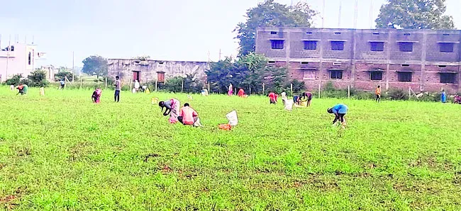 కర్షకుడి కన్నీటి వ్యథలు పొలాలు చెబుతున్నాయ్‌!