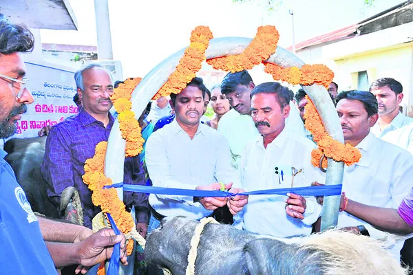 పశుసంపదను కాపాడేందుకే టీకాలు