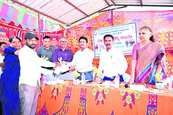 పశుసంపదను కాపాడేందుకే టీకాలు