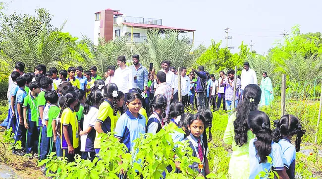 ఆర్గానిక్‌ పంటలు ఆరోగ్యానికి మేలు 