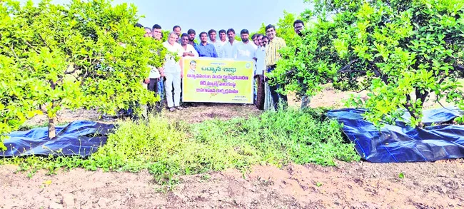 కలుపు మందుతో పంటకు దెబ్బ 