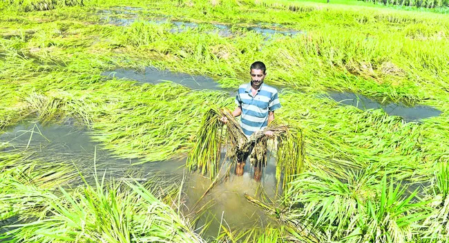 శనివారం శ్రీ 8 శ్రీ నవంబర్‌ శ్రీ 2025