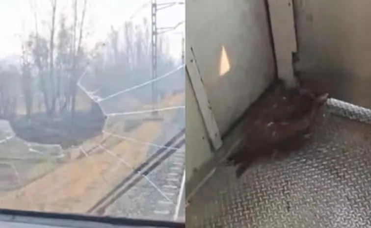 Eagle breaks through train windshield in Kashmir Video Viral