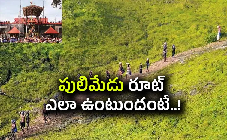 The 12 km long traditional Sathram Pulmedu Sabarimala forest path7
