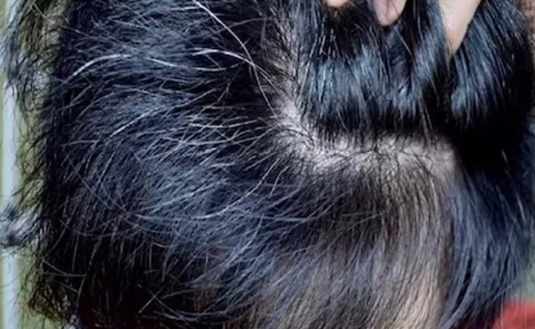 జుట్టు నెరిసిందా? అయితే అదృష్టవంతులే!!