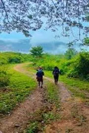 The 12 km long traditional Sathram Pulmedu Sabarimala forest path