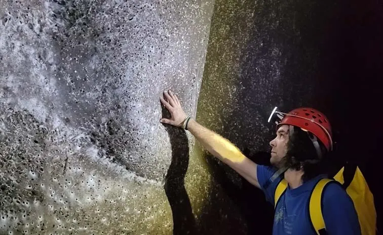 Scientists Discover Worlds Largest Spiderweb Housing2