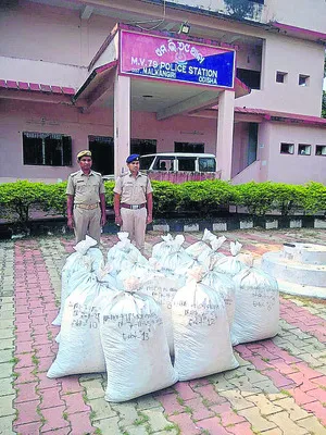 450 కిలోల గంజాయి స్వాధీనం 