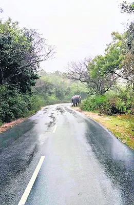 నకిలీ బంగారంతో రుణాలు 
