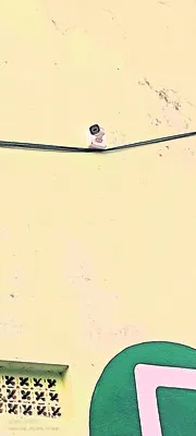 పత్తి యార్డులో సీసీ కెమెరాలు