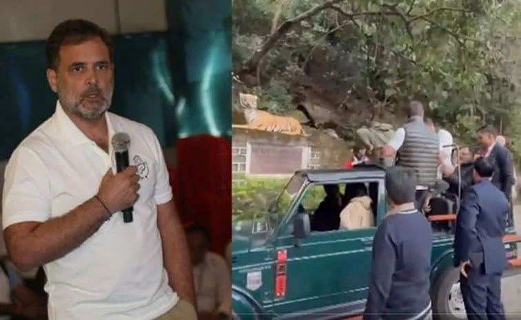 BJP mocks Rahul Gandhis jungle safari in Pachmarhi