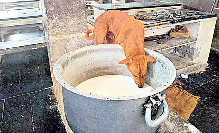 Uppalapadu Ambedkar Gurukulam School Incident