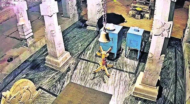 వీఆర్వోను బెదిరించిన వ్యక్తిపై కేసు నమోదు