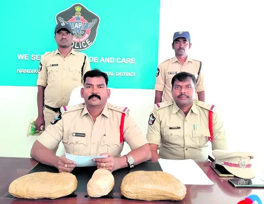 గంజాయి పట్టివేత 