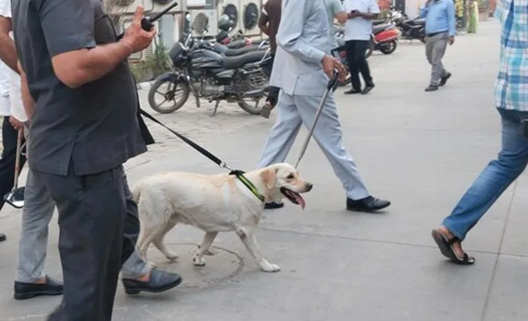 తిరుపతిలో ఆగని బాంబు బెదిరింపు ఈ-మెయిల్స్