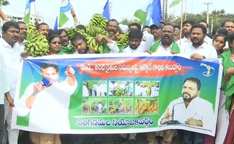 YSRCP Sailajanath Support Anantapur Banana Farmers Protest