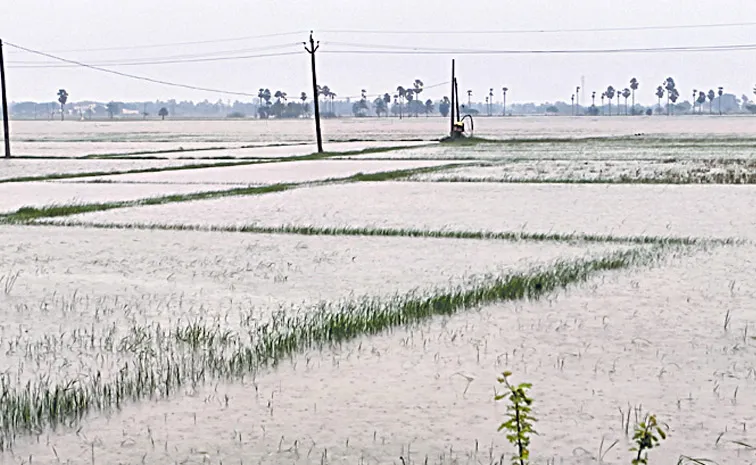 Ditva Cyclone effect rayalaseema districts