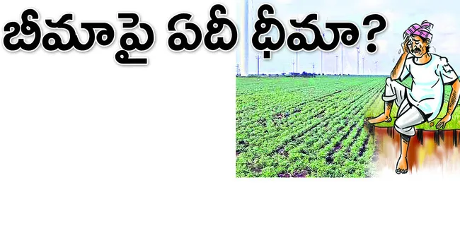 మొదలు కాని ఈ–క్రాప్‌ 