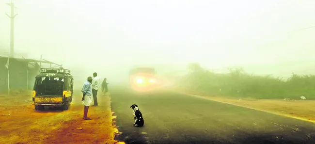 ఉమ్మడి జిల్లాపై చలి పంజా 