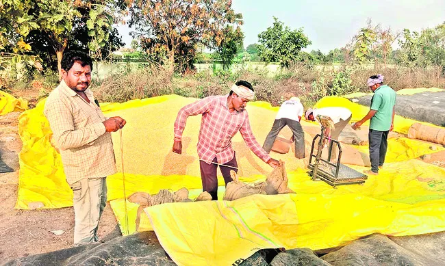 మక్కల పైసలు రాకపాయె!