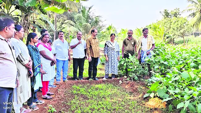 ఆధునిక యాజమాన్య పద్ధతులతో మేలైన దిగుబడులు 