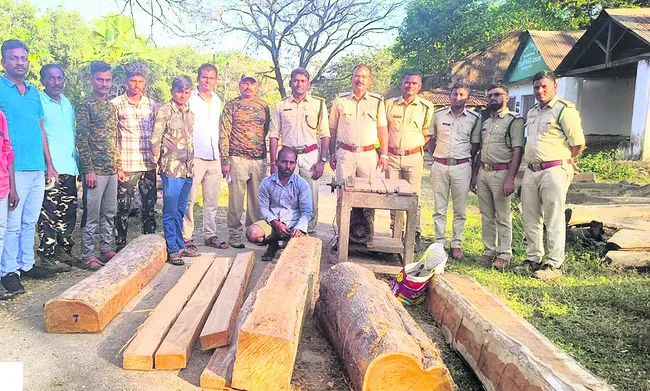 కలప పట్టివేత