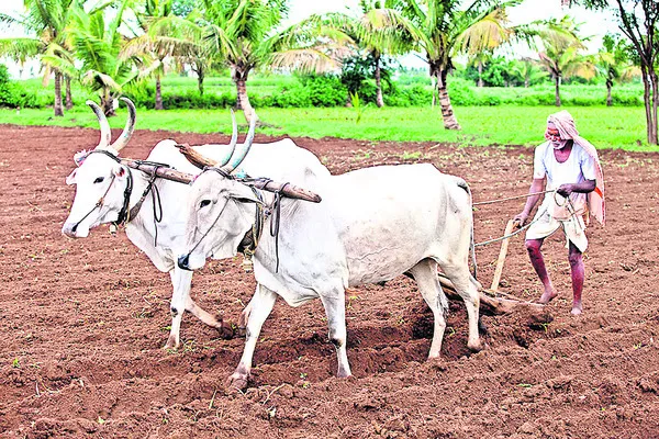 యాసంగి ప్రణాళిక ఖరారు