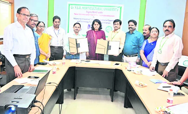 రతన్‌టాటా ఇన్నోవేషన్‌ హబ్‌తో ఉద్యాన వర్సిటీ ఎంఓయూ 